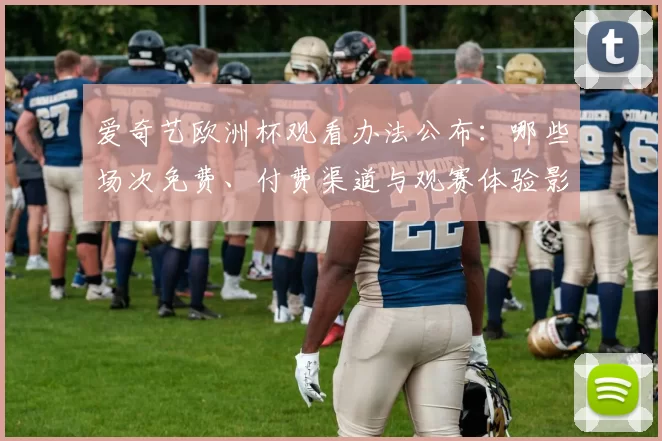 爱奇艺欧洲杯观看办法公布:哪些场次免费、付费渠道与观赛体验影响
