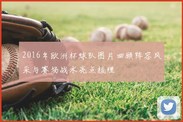 2016年欧洲杯球队图片回顾阵容风采与赛场战术亮点梳理