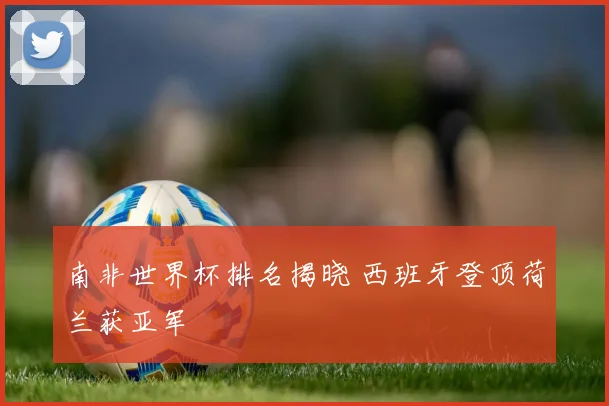 南非世界杯排名揭晓 西班牙登顶荷兰获亚军