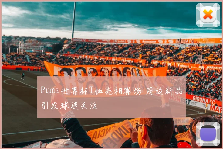 Puma世界杯T恤亮相赛场 周边新品引发球迷关注