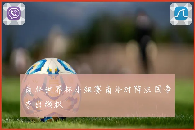 南非世界杯小组赛南非对阵法国争夺出线权