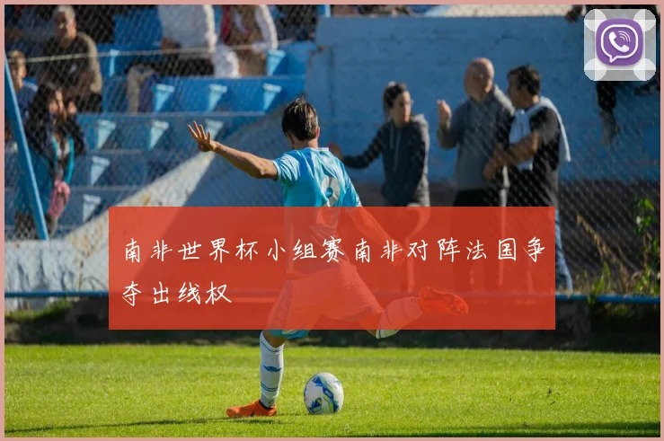 南非世界杯小组赛南非对阵法国争夺出线权