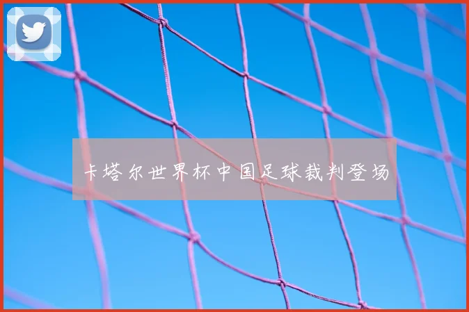 卡塔尔世界杯中国足球裁判登场